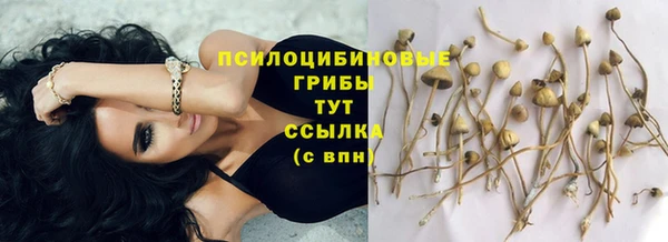 apvp Лиски