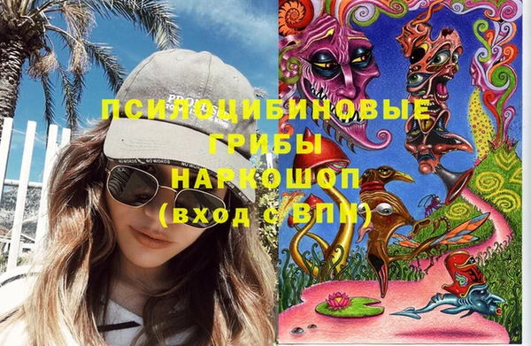 СК Липки