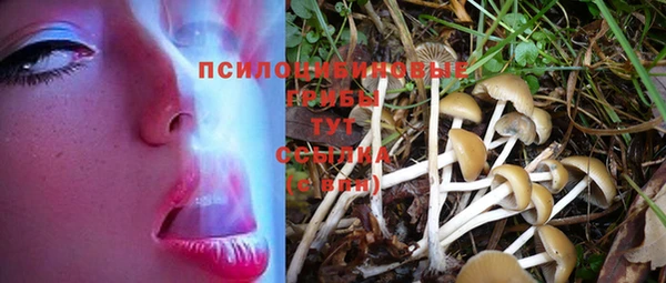 марки nbome Лихославль