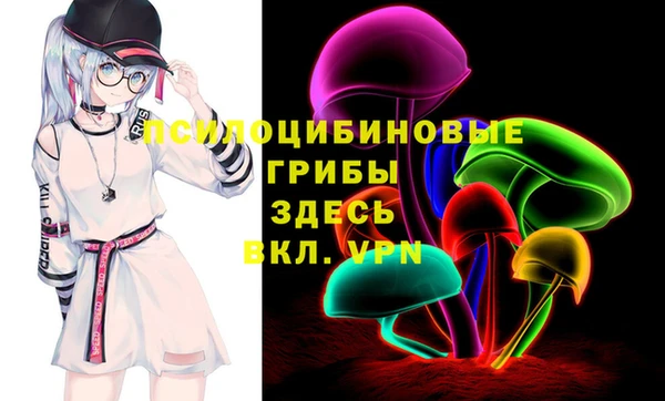 СК Липки